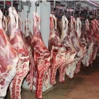 گوشت صاف کن و  کارگر ساده نیازمندیم زیر ۲۵ سال