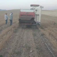 کمباین نخود برنج لوبیا عدس گشنیز کاملینیا زیره