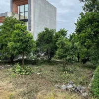 زمین بافت مسکونی / آمل اسپند / ۲۵۰ متر و ۲۰۰ متر