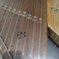 سنتور علی پور.   افر.ا فر.     گردو