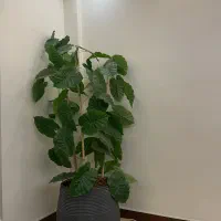 گلدان گل مصنوعی|گل مصنوعی|تهران, درب دوم|دیوار