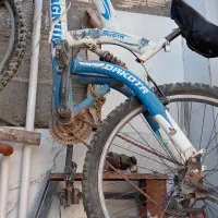 دوچرخه کوهستان|دوچرخه، اسکیت، اسکوتر|مشهد, نیزه|دیوار