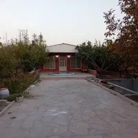 ۲۰۰۰ متر باغ در چناران|فروش خانه و ویلا|چناران, |دیوار