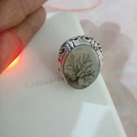 انگشتر شجر تک درخت کلکسیونی