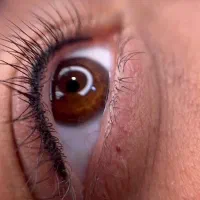 روز دختر آموزش خدمات میکرو شید لب بنمژه لیفت اصلاح|خدمات آموزشی|تهران, اقدسیه|دیوار