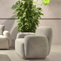 نجار و رویه کوب