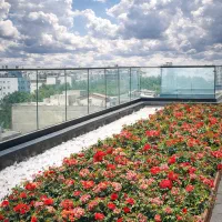 نیروی باغبان