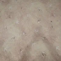 موکت دست دوم