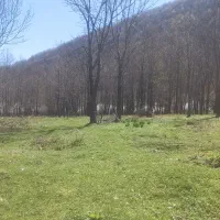 تور یک روزه.  قلعه رودخان