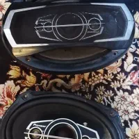 باند پایونر