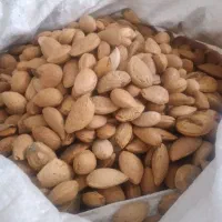 بادام سنگی اورگانیک...