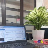 استخدام کارشناس املاک در پاسداران