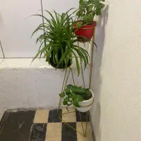 استند گلدون وگل و گیاه