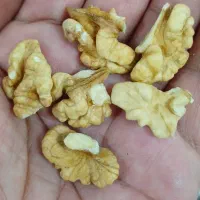 بادام گردو و آلوچه|خوردنی و آشامیدنی|مشهد, فتح المبین|دیوار