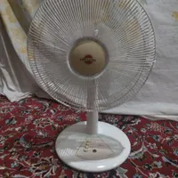 پنکه زمینی