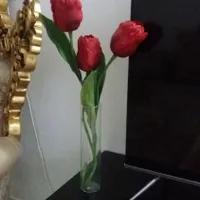 گل و گلدان|گل مصنوعی|قم, آزادگان|دیوار