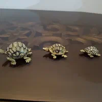 سه عدد لاکپشت تزئینی برنجی