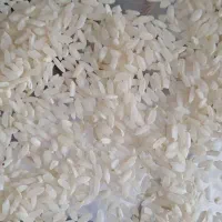 برنج‌‌چمپا درجه یک