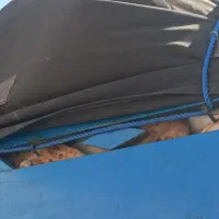 نان خشک بدون کپک تافتون|لوازم جانبی حیوانات|مشهد, انقلاب|دیوار