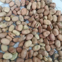 باقالی|خوردنی و آشامیدنی|نیشابور, شهرک بهارستان|دیوار