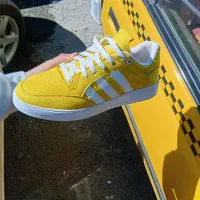 کفش|کیف، کفش، کمربند|نقده, |دیوار