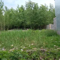 320-متر-مسکونی-بلوار-ولیعصر