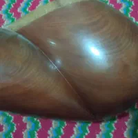 ساز تار|سازهای سنتی|ملایر, |دیوار