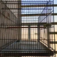 قفس|لوازم جانبی حیوانات|شیراز, میانرود|دیوار