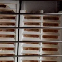 بخاری گازی فروش فوری|بخاری، هیتر، شومینه|دزفول, |دیوار