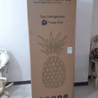 کارتن یخچال دوقلو وماشین لباسشویی پاکشوما