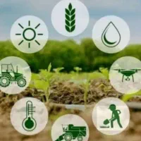 نیروی کار فروشگاه