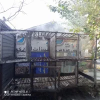 قفس بزرگ|لوازم جانبی حیوانات|بندر انزلی, نیمه شعبان|دیوار