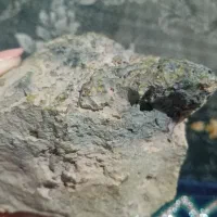 انواع قیمتی|کلکسیون اشیاء عتیقه|تربتحیدریه, پائین ولایت|دیوار