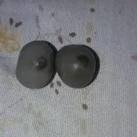 مهره ،مهرگیا یا تخم جن