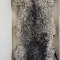 پوست گوسفند طبی