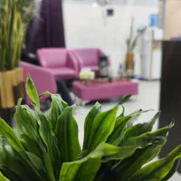 ۳۵۰،۰۰۰ت اعتبارهدیه یانا و مایا (بوتاکس زیر بغل)|خدمات آرایشگری و زیبایی|شوش, |دیوار