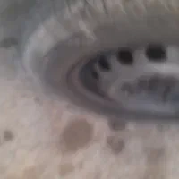 پراید صبا مدل۸۴|خودرو سواری و وانت|اسلام‌شهر, مظفریه|دیوار