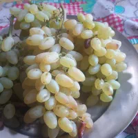 انگور فروشی