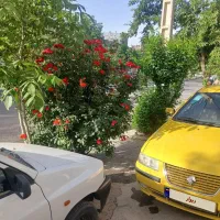 سمند تاکسی مدل ۹۶ در حد صفر و تمیز