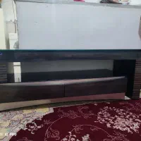 میز تی وی