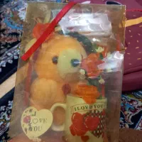 معاوظم میکنم تا آخرنگاه کنید خیلی ارزون گذاشتم|اسباببازی|قدس, شهرقدس|دیوار