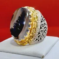 انگشتر نقره  کلکسیونی شجر قاین منظره دار