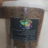 میلورم در بیرجند با قیمت مناسب|خزنده|تهران, خلیج فارس|دیوار