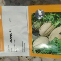 فروش بذر خربزه جانا .دستگیری