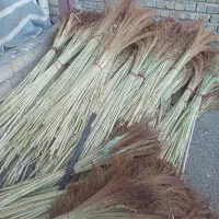 مقداری جارو به صورت دسته تمیز شده|لوازم نظافت|نهاوند, |دیوار