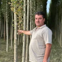 نهال های با  کیفیت و مقاوم|خدمات باغبانی و درختکاری|رودشت (چهارمحال و بختیاری), |دیوار