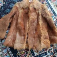 پالتو خز سالم