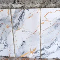 اوستا کاشی کاری دیوار چینی همه کاره نیرو خودم دارم|خدمات پیشه و مهارت|اردکان, |دیوار