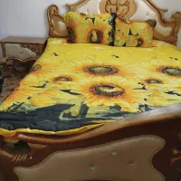 تخت سرویس خواب