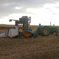 به یک کارگر خلال زن نیازمندیم